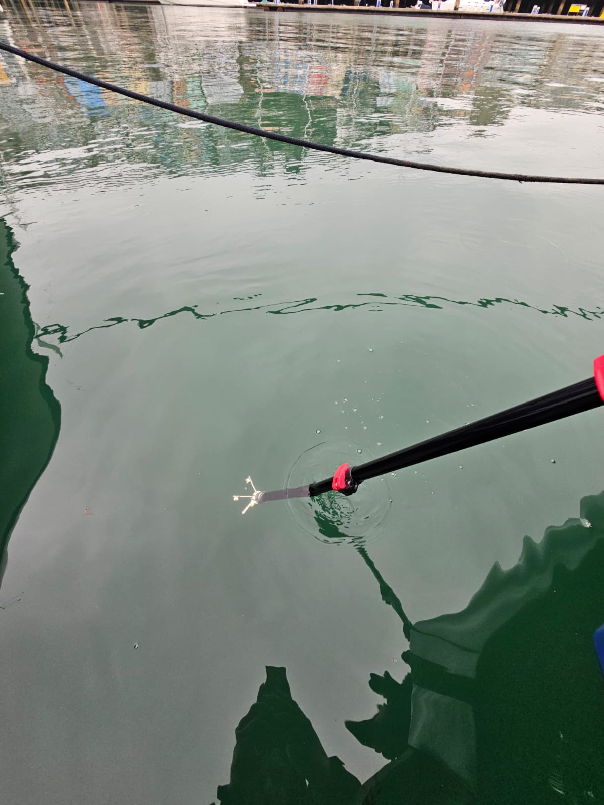15 Kilo lift 316 Polished Stainless Magnet Attachment with threaded ...