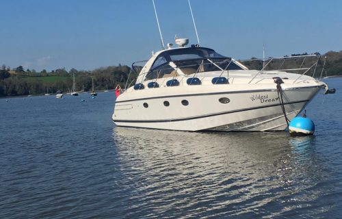 A white motor yacht named "Wildest Dream" is moored on a calm body of water, a telescopic hook pole ready at its side. Green hills and trees form the backdrop under a clear blue sky.