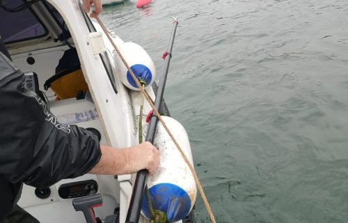 In a bustling harbor, a person expertly secures a boat to a mooring buoy using a rope, aided by a trusty boat hook pole. Several other boats are peacefully anchored nearby, their reflections glistening on the water's surface.